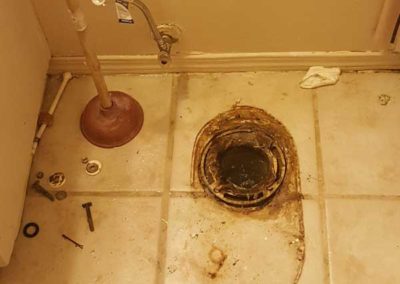 Plugged Toilet Drain - Removal Required